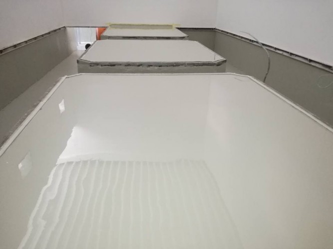 16997736 390220841352654 4212787668621212121 n