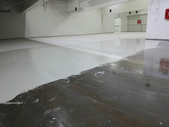 15252620 341731539534918 5608062358570535273 o