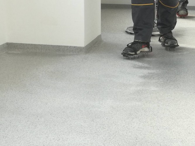 17191248 395847524123319 8411130670377122044 n