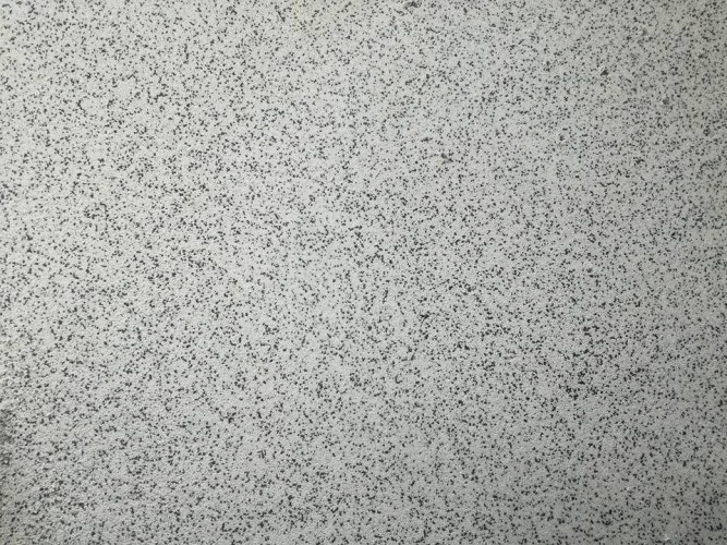 17155766 395847267456678 6282809382343319870 n