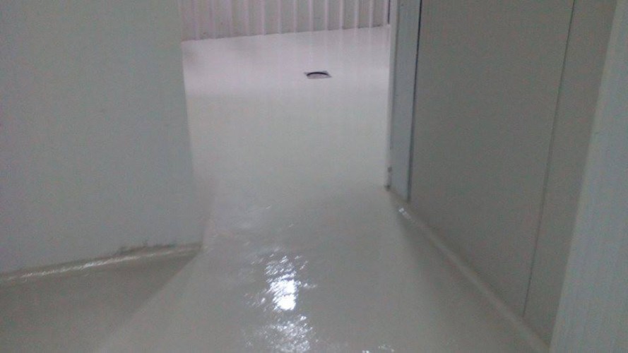 10274064 137697856604955 5614875824208102419 n